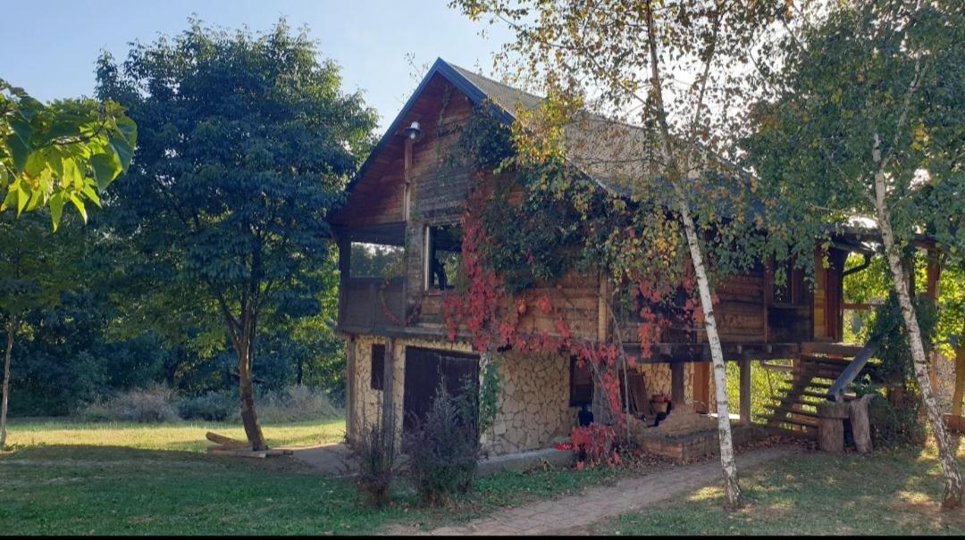Log Cabin 贝尔格莱德 外观 照片